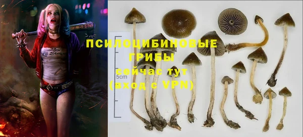 ешки Алексеевка
