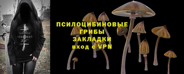 а пвп мука Покачи