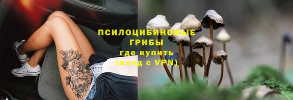 мяу мяу мука Абдулино